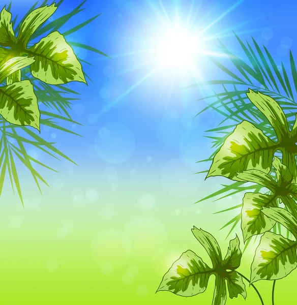 Letnie tło tropikalne — Wektor stockowy