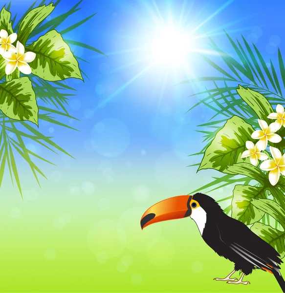 Été fond tropical — Image vectorielle