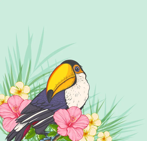 Toucan et fleurs tropicales — Image vectorielle