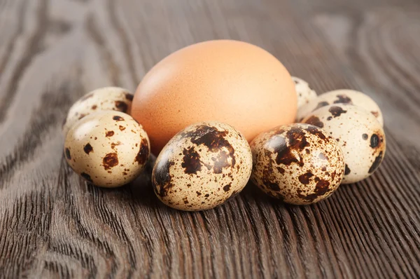Codorniz y huevos de pollo —  Fotos de Stock