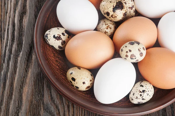 Codorniz y huevos de pollo —  Fotos de Stock