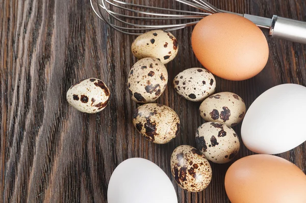 메 추 라 기, 닭고기 계란 — 스톡 사진