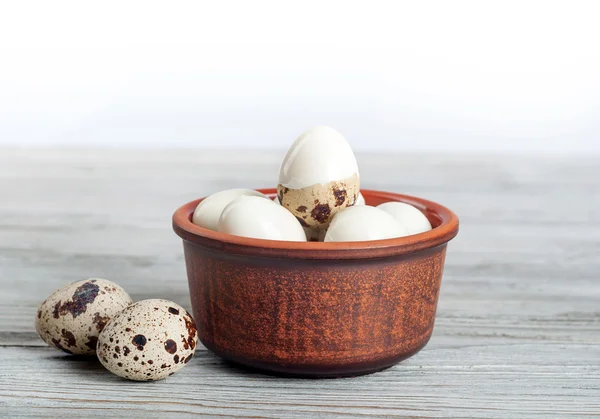 Bıldırcın haşlanmış yumurta — Stok fotoğraf