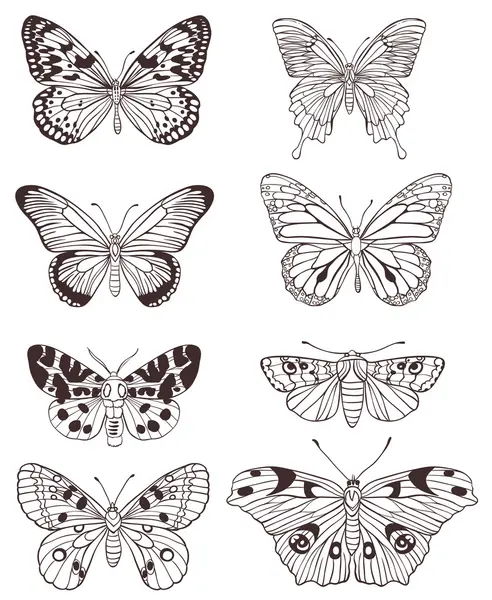 Papillons dessinés à la main — Image vectorielle