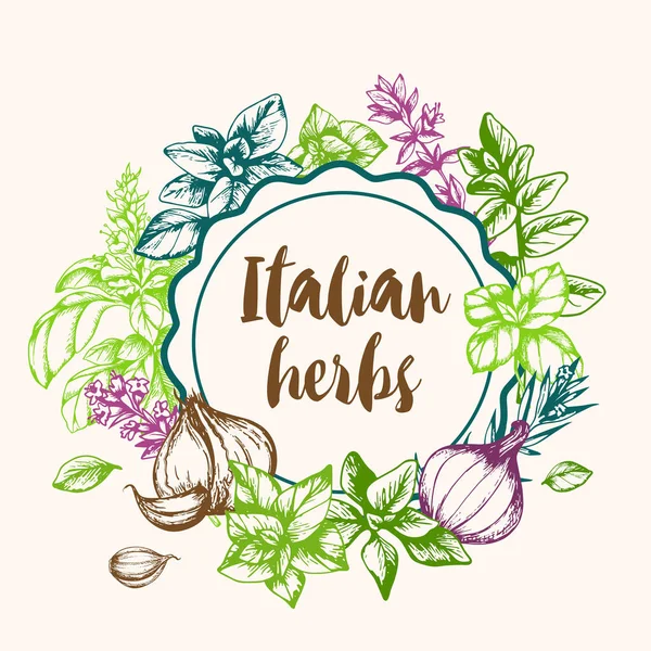 Vintage Vector Hand Drawn Background Italian Spices Herbs — Stock Vector