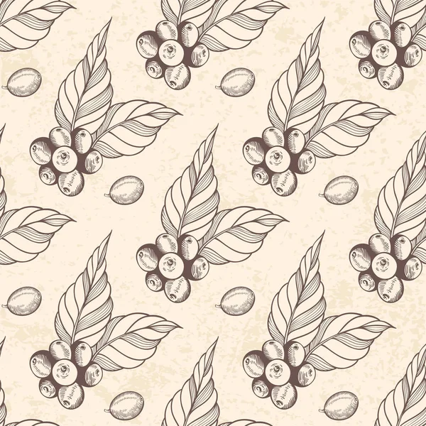 Vintage Hand Drawn Seamless Pattern Coffee Plant Coffee Beans Vector — ストックベクタ