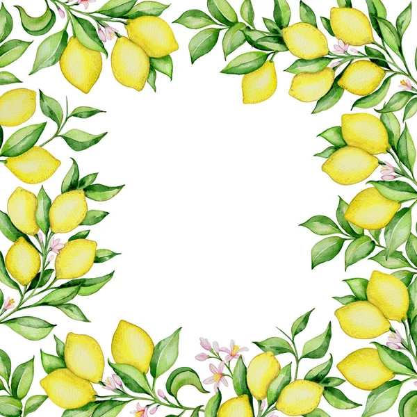 Hand Drawn Watercolor Floral Frame Lemons Green Leaves White Background — Stock Photo, Image