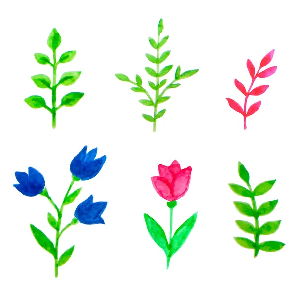 Elementos florales de acuarela para diseño — Vector de stock