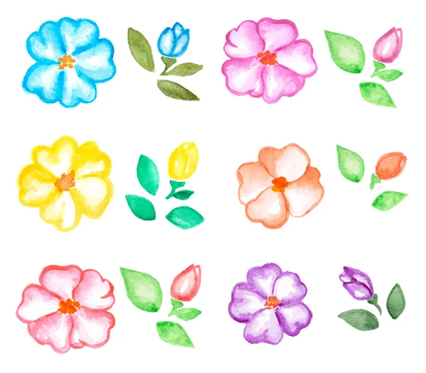 Sada akvarelových květin — Stock fotografie
