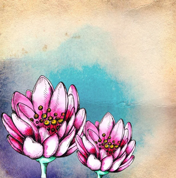 Watercolor floral  background with pink lotus — Stock Photo, Image