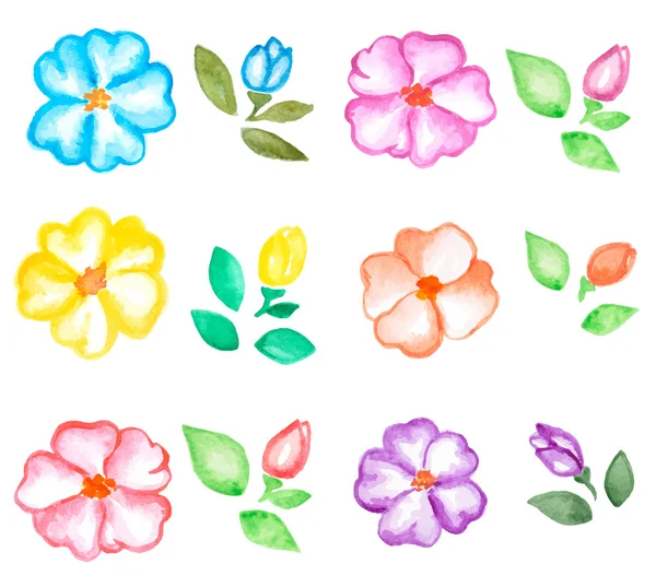 Set of watercolor flowers — Stock Vector