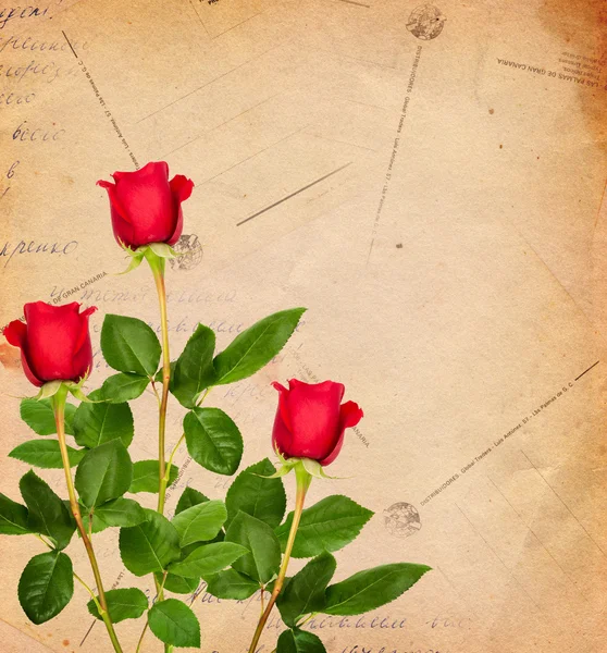赤いバラとビンテージ背景 — ストック写真