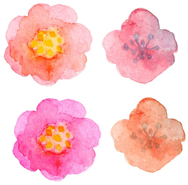 Éléments floraux aquarelle pour la conception — Image vectorielle