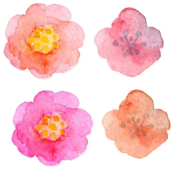 Aquarell florale Elemente für die Gestaltung — Stockvektor