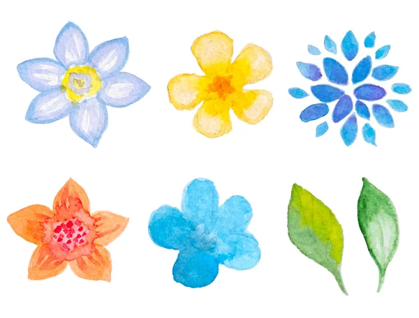 Aquarel floral elementen voor ontwerp — Stockvector