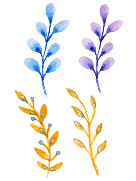 Éléments floraux aquarelle — Image vectorielle