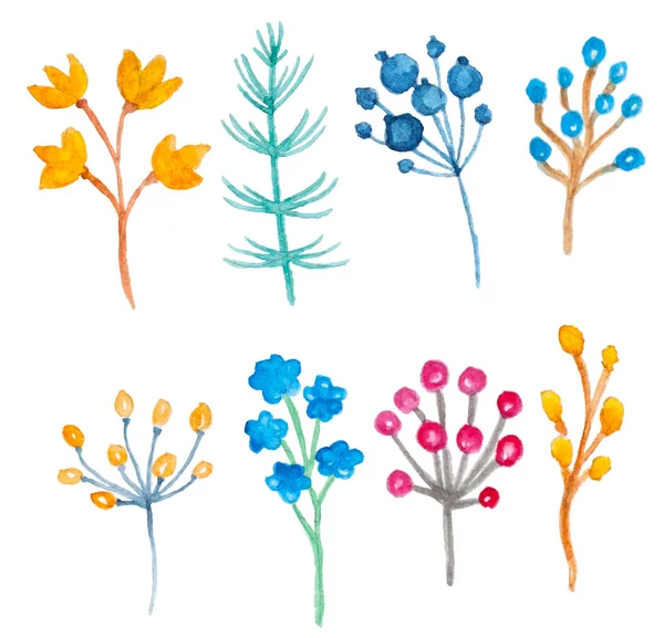Acuarela elementos florales — Archivo Imágenes Vectoriales