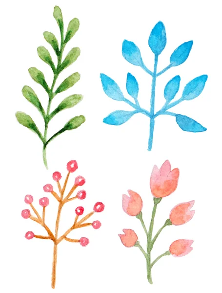 Watercolor floral elements — Stock Vector
