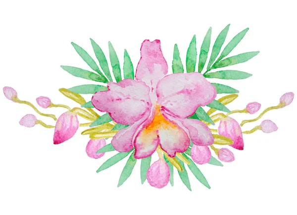 Akvarell orchid — Stockfoto