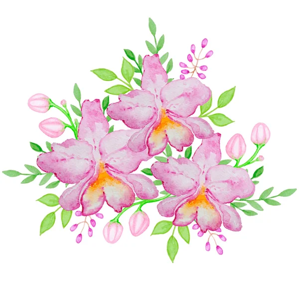 Watercolor pink orchids — Stock Photo, Image