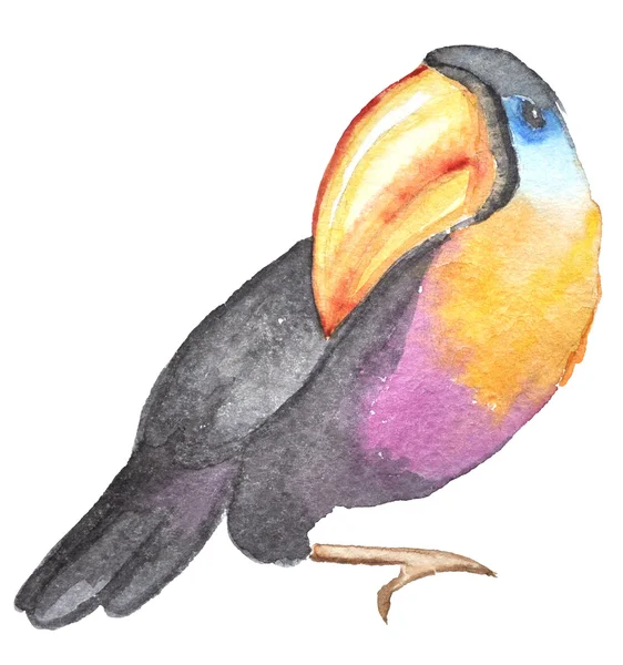Watercolor tropical bird — Stock Photo, Image