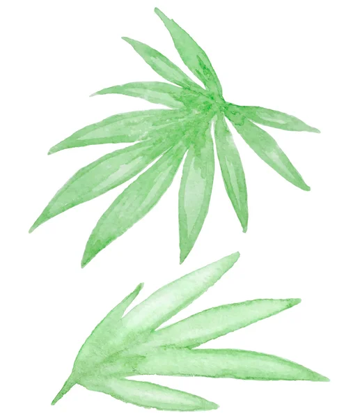 Aquarelle feuilles tropicales vertes — Image vectorielle