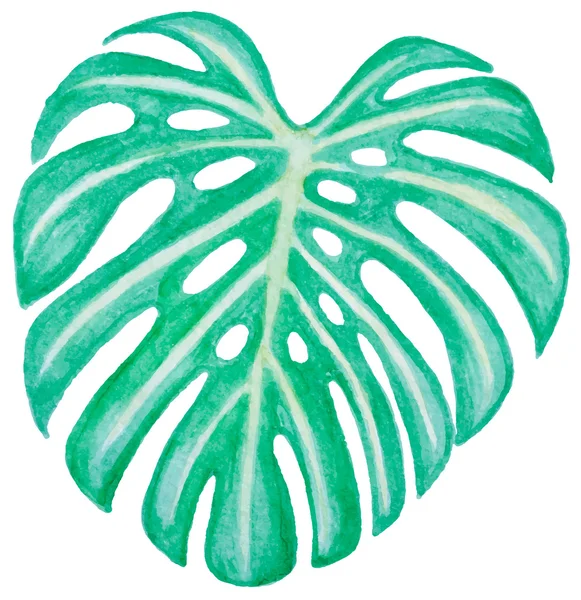 Aquarel groen blad — Stockvector