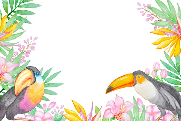 Fundo aquarela com pássaros tropicais — Fotografia de Stock