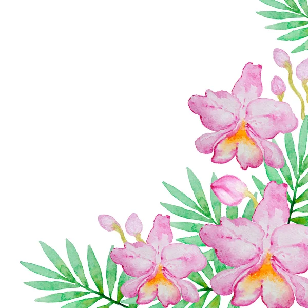 Розовые орхидеи и зеленые листья — стоковое фото