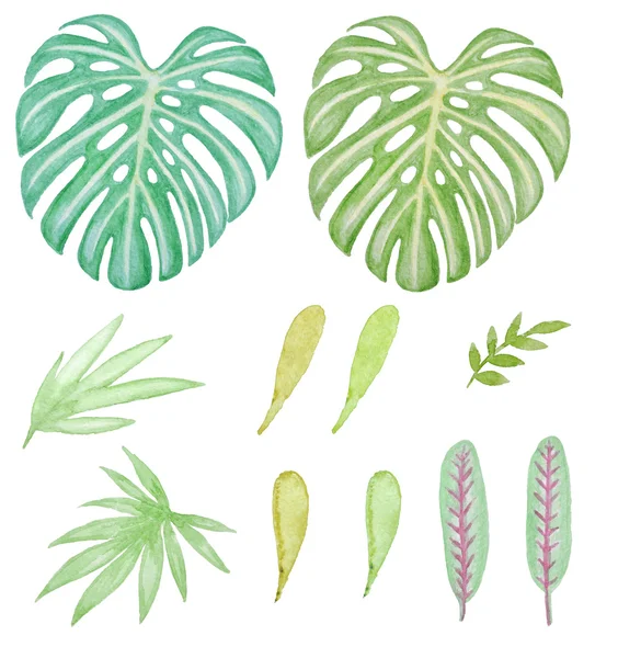 Watercolor tropical green leaves — Stock Photo, Image