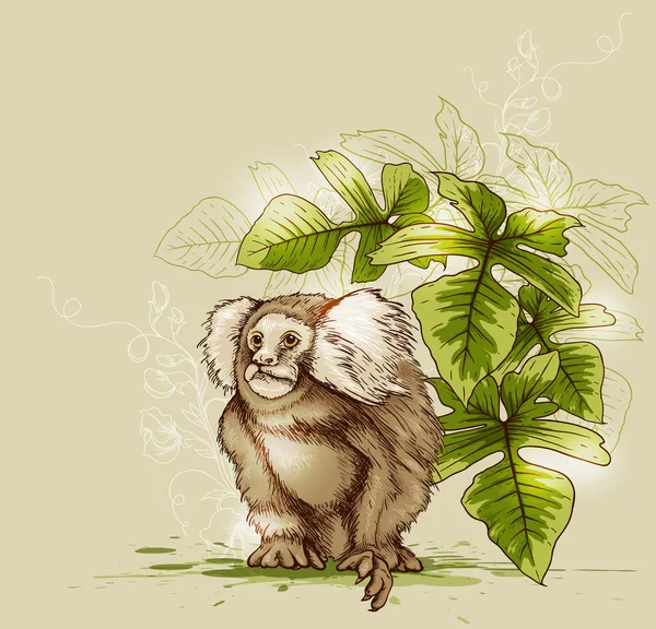 Mono y planta tropical verde — Archivo Imágenes Vectoriales
