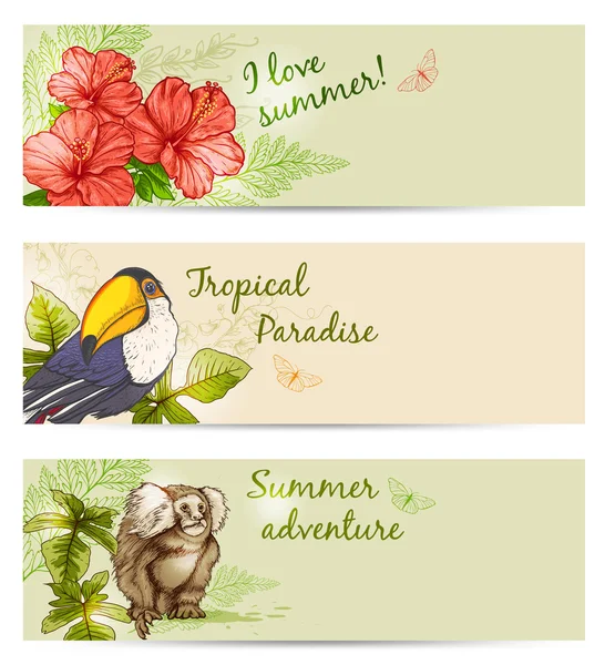 Banners tropicales de verano — Archivo Imágenes Vectoriales