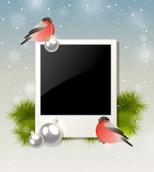 Bullfinch and photo — Stock Vector