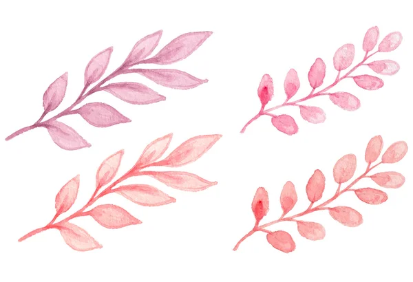 Rózsaszín akvarell ág — Stock Vector