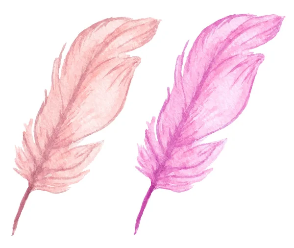 Pink Watercolor feathers — Stock Vector