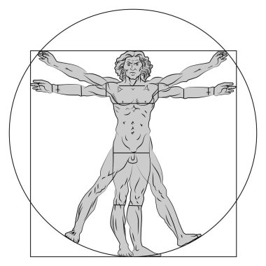 Vitruvian man stylization. Vector illustration isolated.