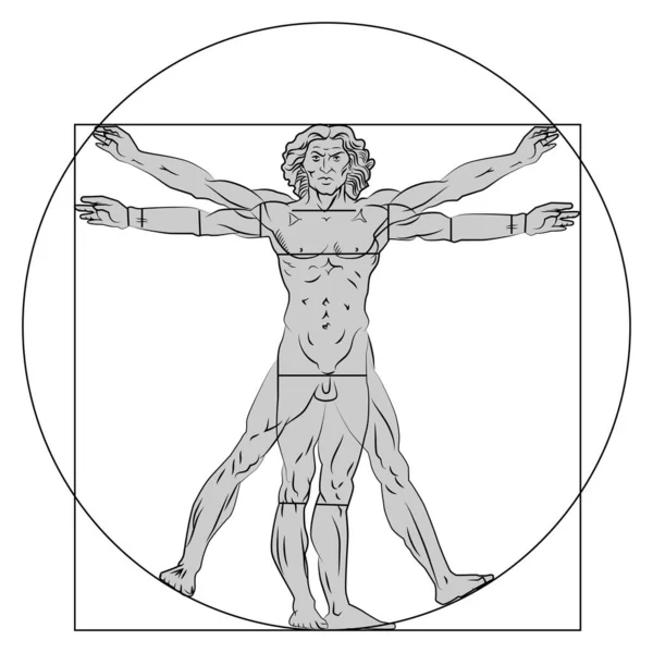 Vitruvian Man Stylization Vector Illustration Isolated — Stock Vector
