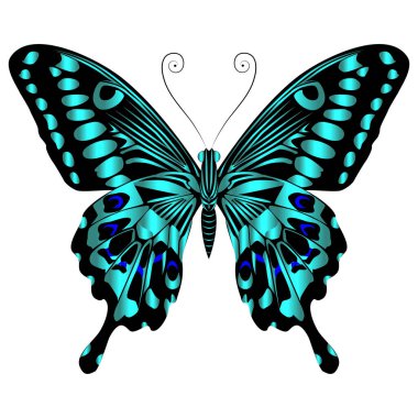 Beautiful bright green  butterfly. Vector illustration isolated.