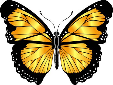 Beautiful bright yellow  butterfly. Vector illustration isolated.