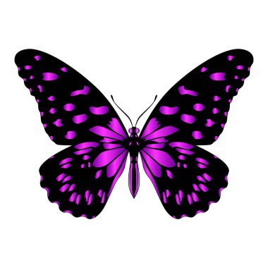 Beautiful bright purple  butterfly. Vector illustration isolated.