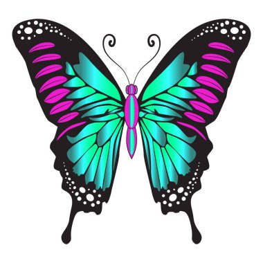 Beautiful bright green  butterfly. Vector illustration isolated.