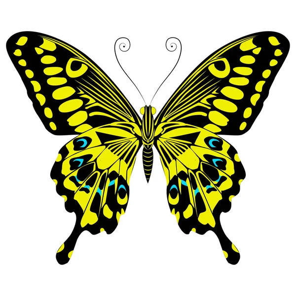 Frumos Fluture Galben Strălucitor Ilustrație Vectorială Izolată — Vector de stoc