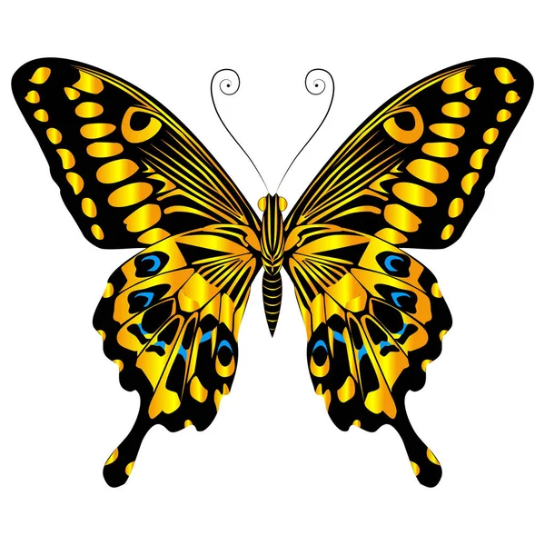 Beautiful Bright Yellow Butterfly Vector Illustration Isolated — Vector de stock