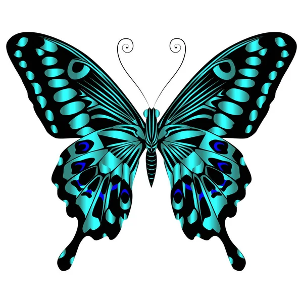 Beautiful Bright Green Butterfly Vector Illustration Isolated — Stock Vector