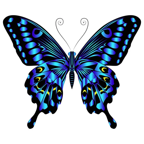 Прекрасний Яскраво Блакитний Метелик Векторні Ілюстрації Ізольовані — стоковий вектор