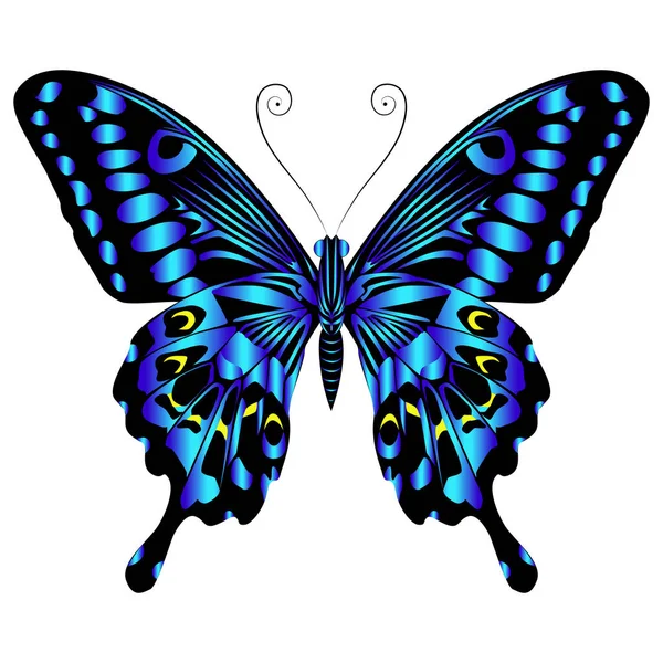 Beautiful Bright Blue Butterfly Vector Illustration Isolated — Stok Vektör