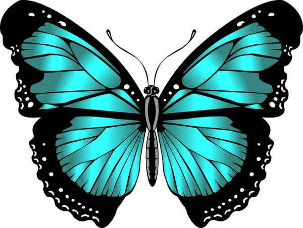 Beautiful bright green  butterfly. Vector illustration isolated.