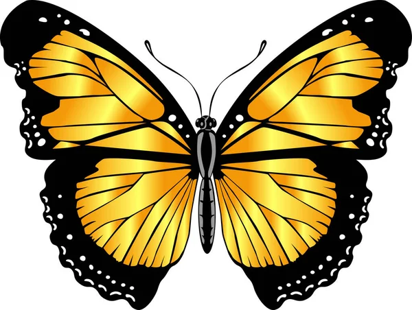 Piękny Jasnożółty Motyl Ilustracja Wektora Izolowana — Wektor stockowy