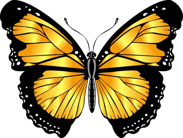 Beautiful bright yellow  butterfly. Vector illustration isolated.