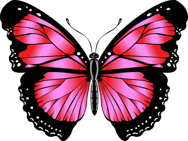 Schöner Knallroter Schmetterling Vektorabbildung Isoliert — Stockvektor